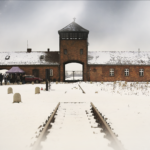 ‘If you lost weight, you were sent to the gas chamber’: The Auschwitz ordeal of a 13-year-old girl separated from her family