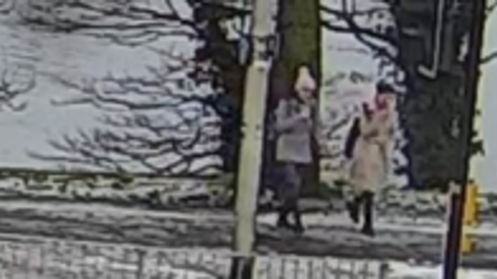 Missing sisters made earlier visit to same bridge where they were last seen, CCTV shows