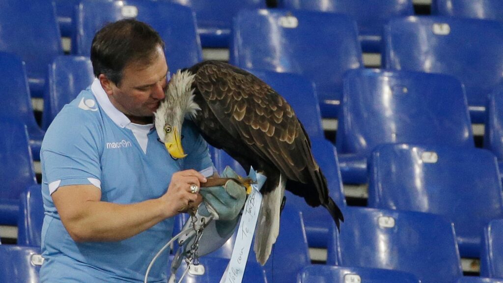 Prosthetic penis photos get football club’s eagle handler sacked