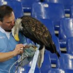 Prosthetic penis photos get football club’s eagle handler sacked