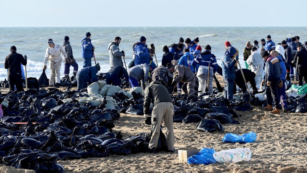 More than 30 dolphins wash up dead on beach after ‘ecological disaster’