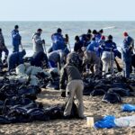 More than 30 dolphins wash up dead on beach after ‘ecological disaster’