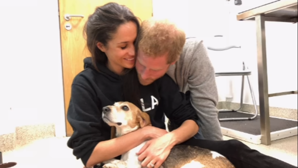 Meghan ‘devastated’ by death of her rescue dog