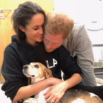 Meghan ‘devastated’ by death of her rescue dog