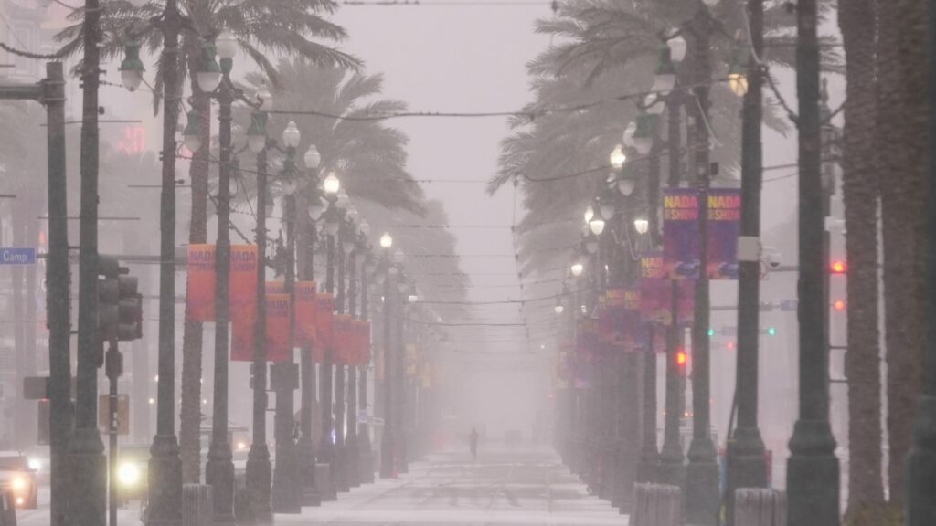 ‘Historic’ winter storms spark first ever blizzard warnings in parts of US Deep South