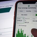 Ovo Energy buys brand from founder as capital-raise looms