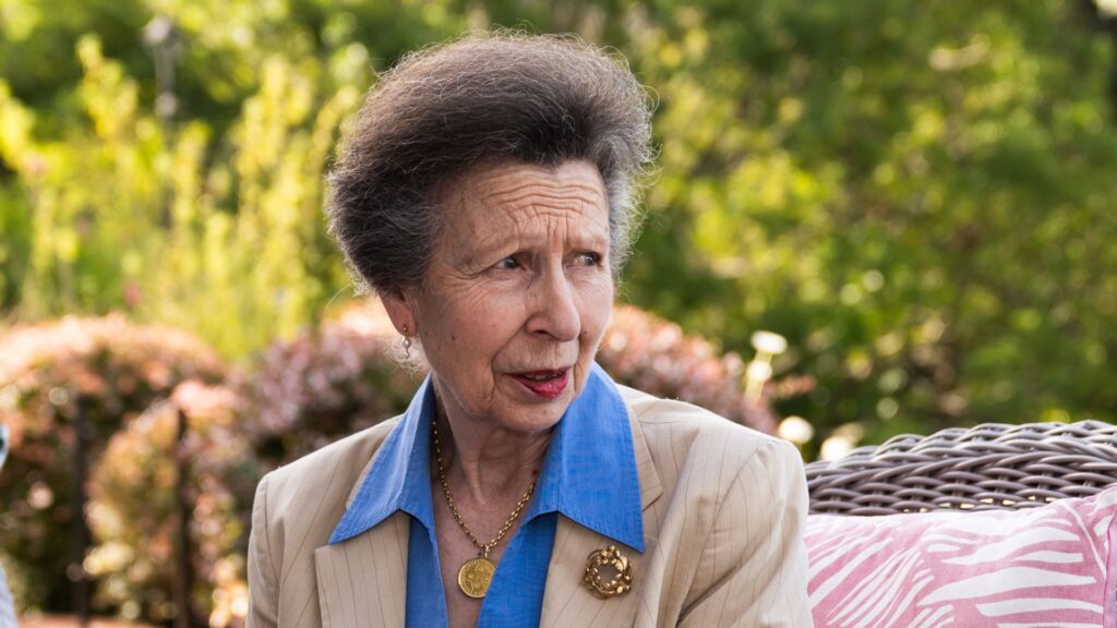 Princess Anne speaks out about horse accident that left her concussed