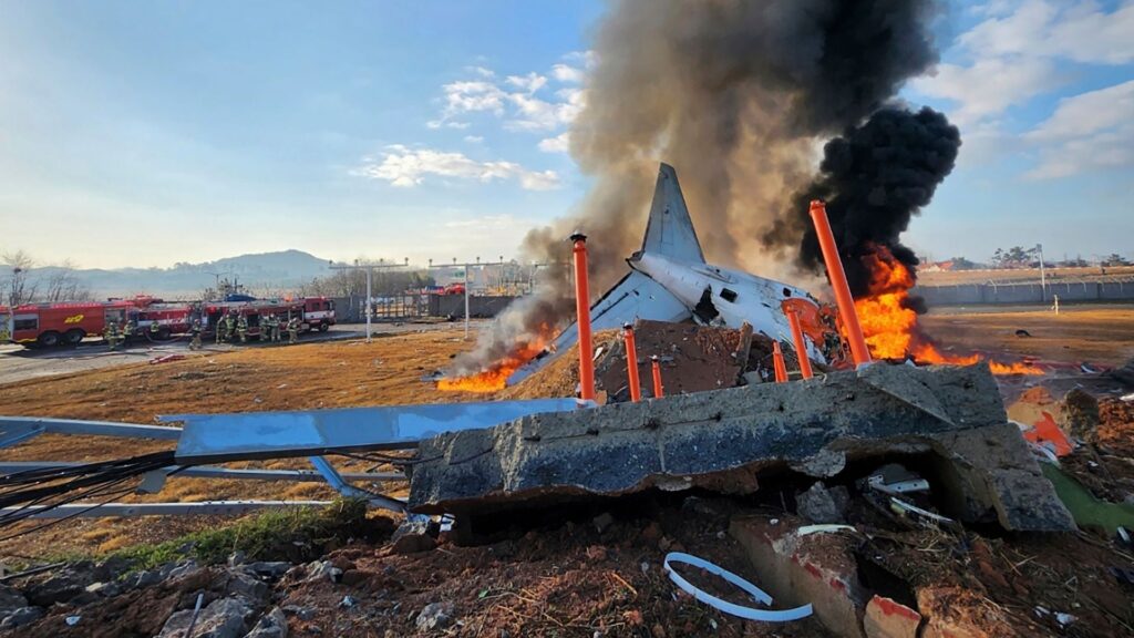 Bird feathers found in South Korea passenger jet engine after crash which killed 179