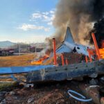 Bird feathers found in South Korea passenger jet engine after crash which killed 179