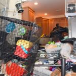 Hoarder charged with animal cruelty after 10 dead animals found in home