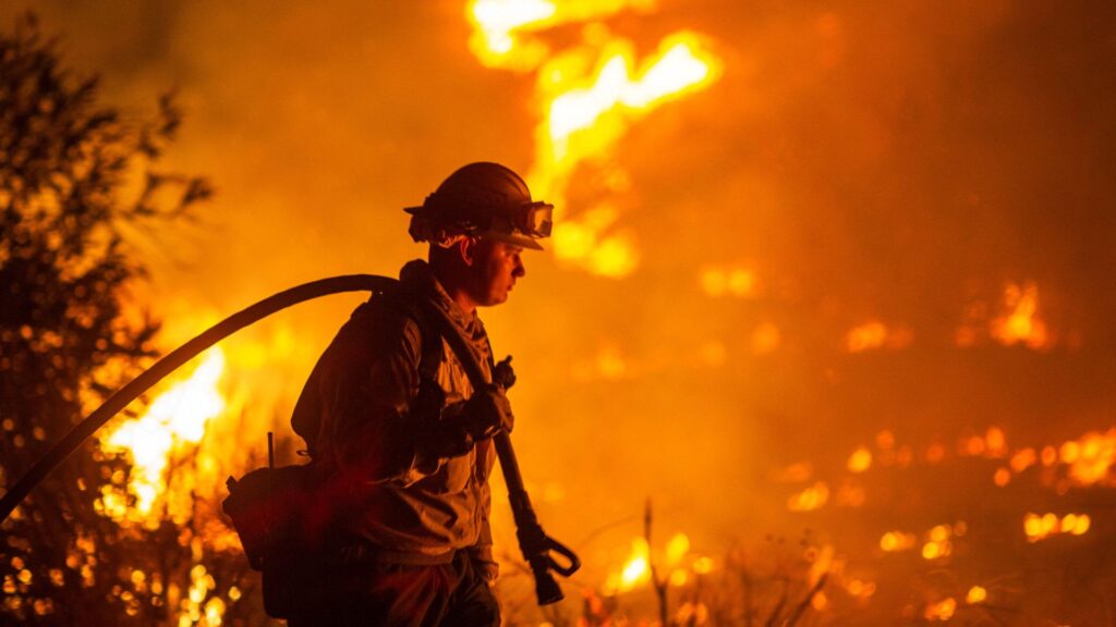 ‘Dangerous climate breakdown’ warning as hottest January on record shocks scientists