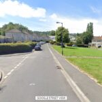 Woman, 19, dies in dog attack in Bristol – two people arrested