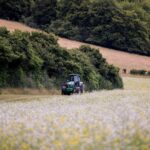 Farmers’ inheritance tax creates ‘chilling effect’ on nature recovery scheme, ex-government legal adviser says