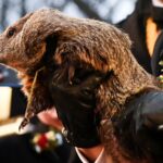 Groundhog Day’s Punxsutawney Phil makes his weather prediction