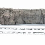 These ancient scrolls were charred by a volcano – are they now revealing their secrets?