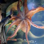 Merlin Entertainments dives into sale of aquarium assets