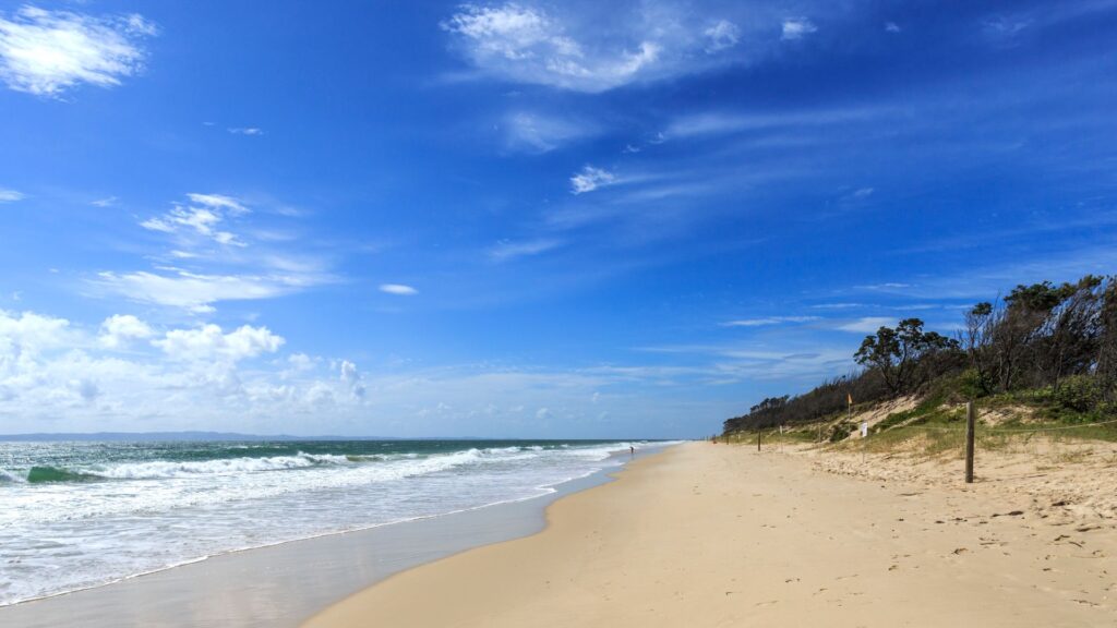 Girl , 17, killed by shark while swimming in Queensland