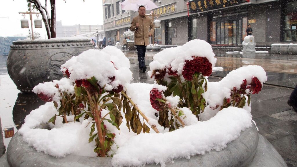 Tourist village in China apologises for using ‘cotton wool’ snow