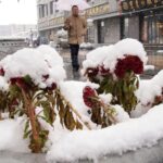 Tourist village in China apologises for using ‘cotton wool’ snow