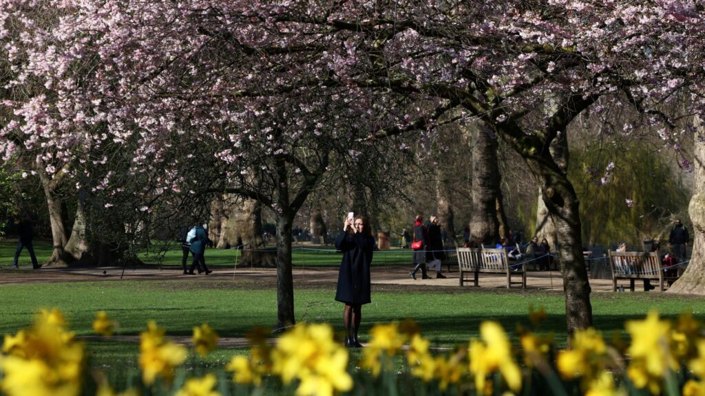 Temperatures could hit 14C this week after fortnight of ‘anticyclonic gloom’