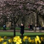 Temperatures could hit 14C this week after fortnight of ‘anticyclonic gloom’