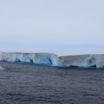 World’s largest iceberg runs aground, putting these sea animals under threat