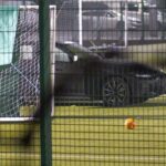 10-year-old girl died in sports pitch crash – as police say no indication it was deliberate